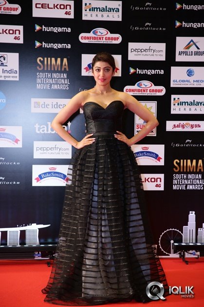 Celebs-at-SIIMA-2016